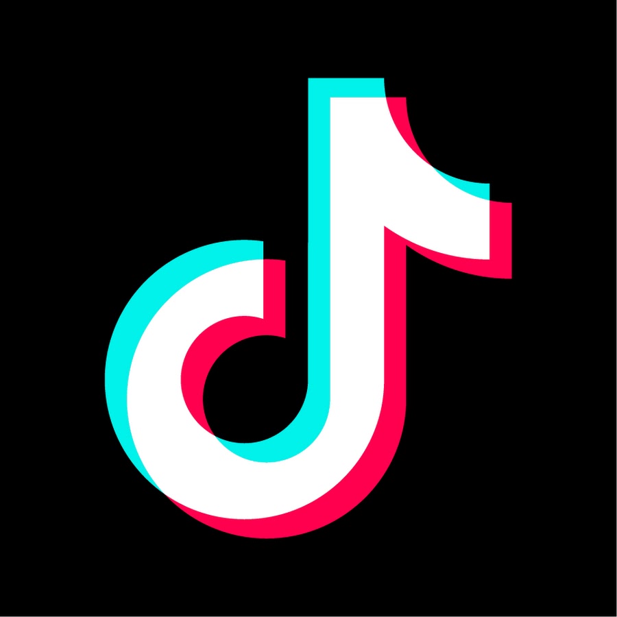 tiktok video downloader